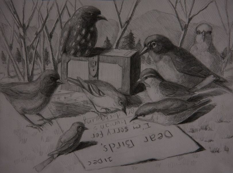 Dear Birds - Pencil