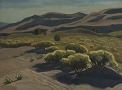 Great Sand Dunes: Rabbit Brush #3 - Oil