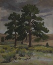Great Sand Dunes: Pines Before a Storm - Oil