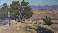 Twisted Pine - Oil