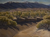 The Great Sand Dunes National Park and Preserve: Waiting For Rain - Oil