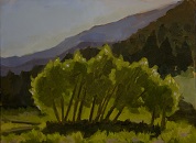 The Great Sand Dunes: New Leaves, Medano Creek - Oil